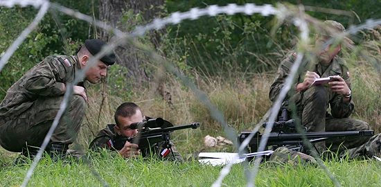 Zdjęcie z galerii