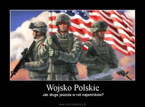 Zdjęcie z galerii